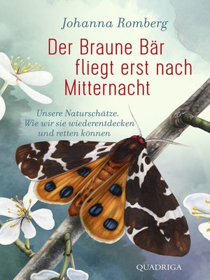 cover image of Der Braune Bär fliegt erst nach Mitternacht